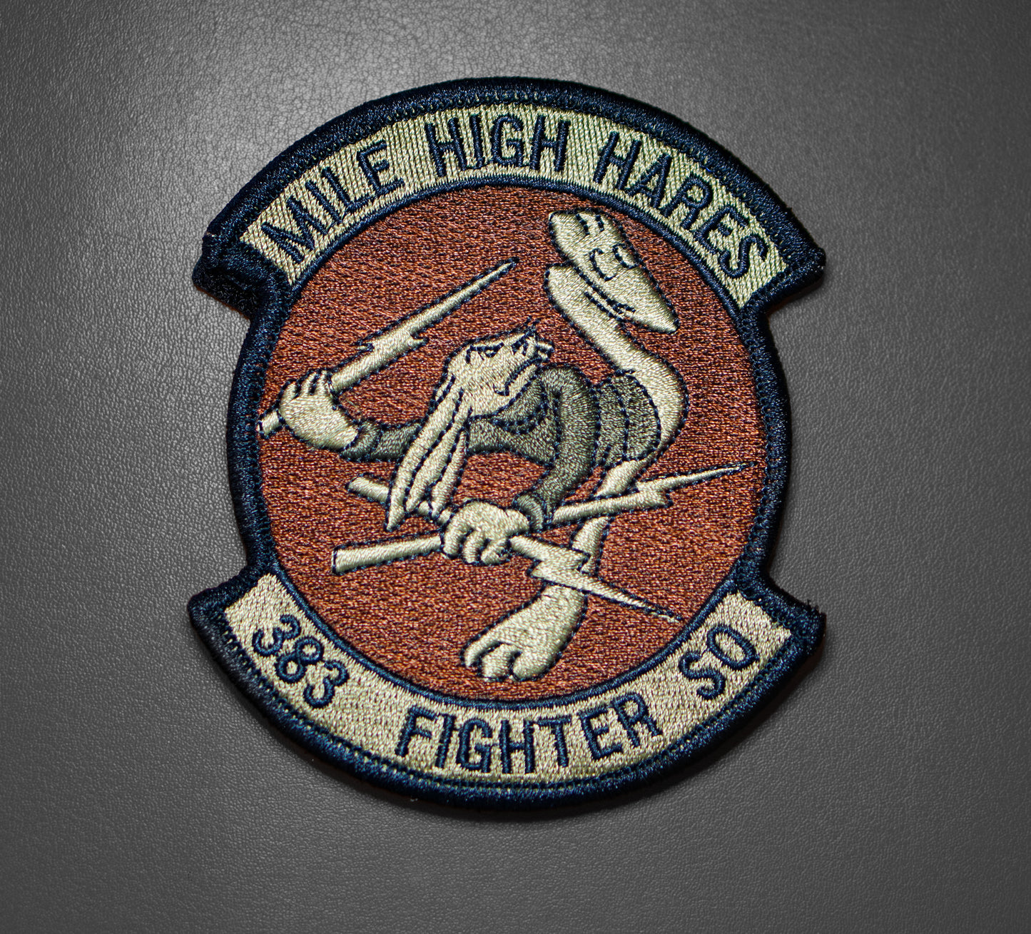 383d FS Mile High Hares OCP