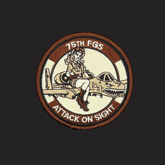 75th FGS Pinup Desert