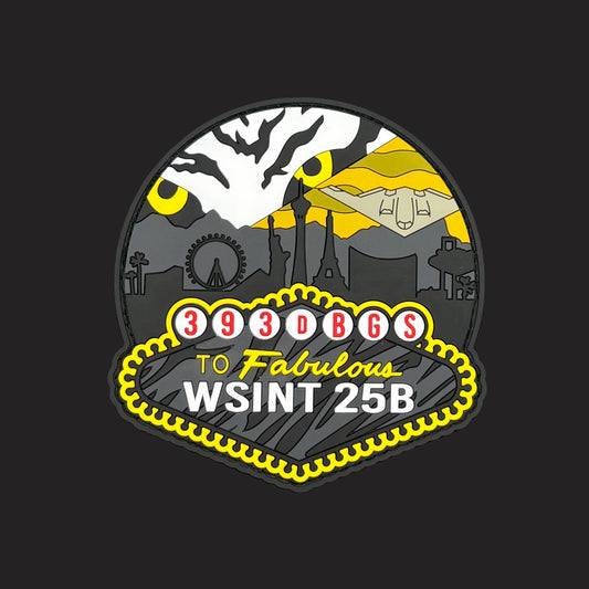 393d BGS WSINT 25B