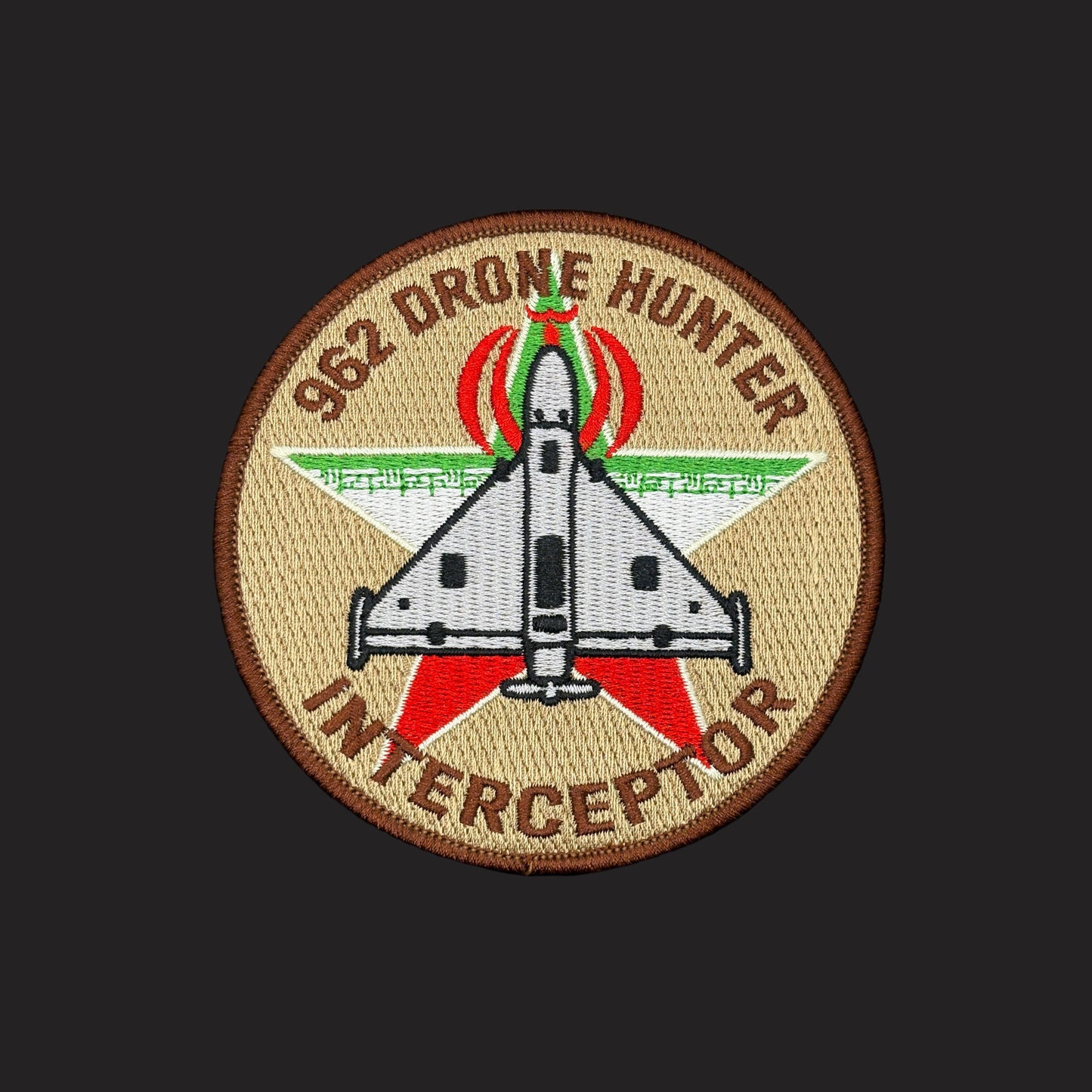 962nd EAACS Drone Hunter