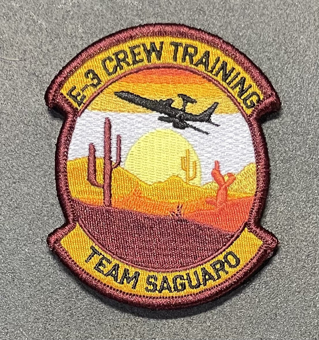 966Th Flight Instructor Patch